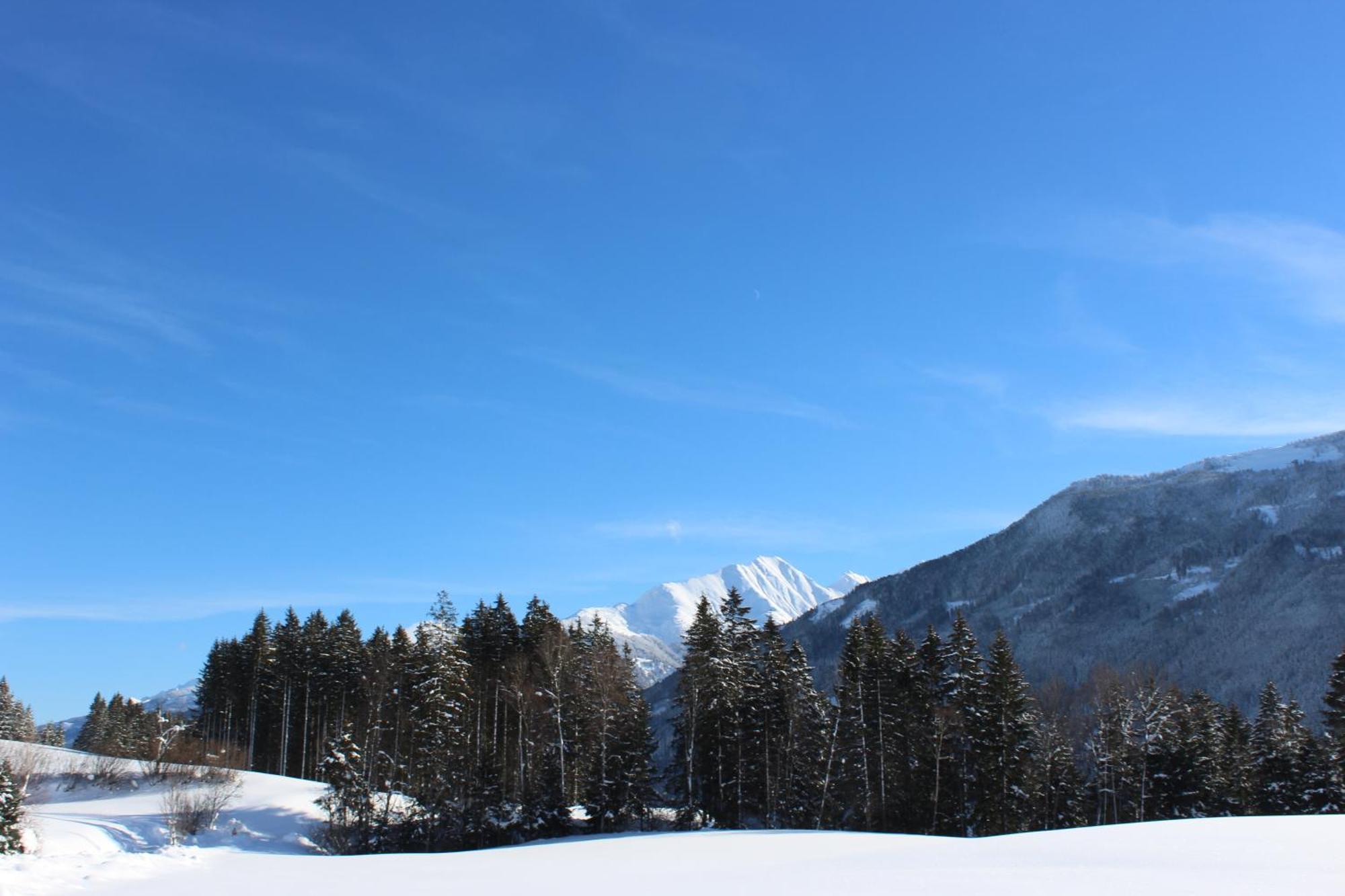 Appartamento Ferienhaus Schwab Mittersill Esterno foto