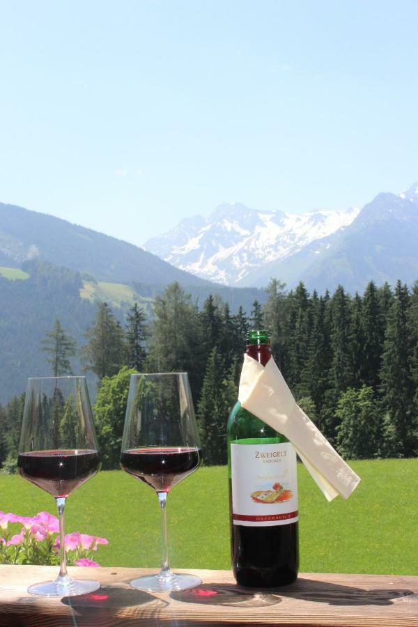 Appartamento Ferienhaus Schwab Mittersill Esterno foto
